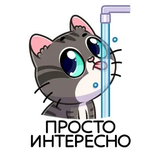 🙃 ПРОСТО ИНТЕРЕСНО chat, mignon, eau, dessin animé, autocollant, gris whatsapp sticker