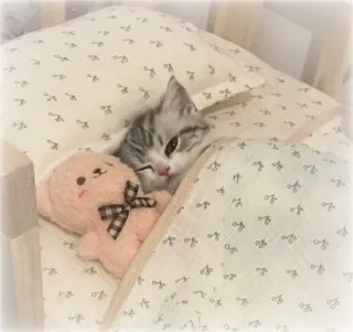 🌟 Kätzchen, Katze, Teddybär, süß, Tier, Haustier, Schlaf, Bett telegram sticker