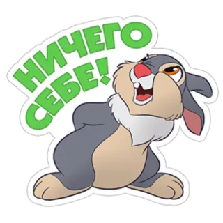 🤪 НИЧЕГО СЕБЕ! กระต่าย, สติกเกอร์, การ์ตูน, สัตว์, สีหน้า telegram sticker