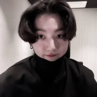 🐰 whatsapp sticker