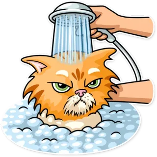 Striped Cat telegram stickers