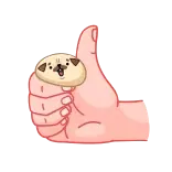 👍 мопс, собака, большой палец вверх, лайк, согласие, рука telegram sticker