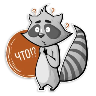 😱 ЧТО!? guaxinim, pergunta, confuso, desenho animado, cinza, animal telegram sticker