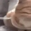 😑