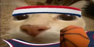 🏈 Hase, Basketball, Sport, Tier, süß telegram sticker
