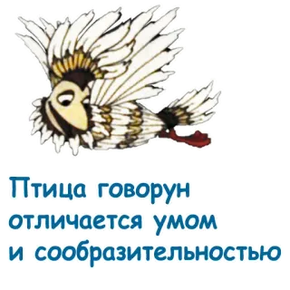 😄 Птица говорун отличается умом и сообразительностью burung, burung beo, kartun, kutipan, lucu, pintar telegram sticker