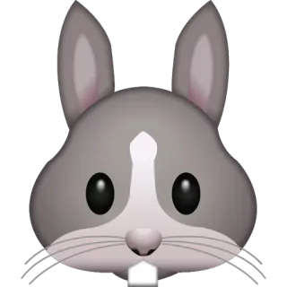 🐰 кролик, заяц, животное, милый, эмодзи telegram sticker