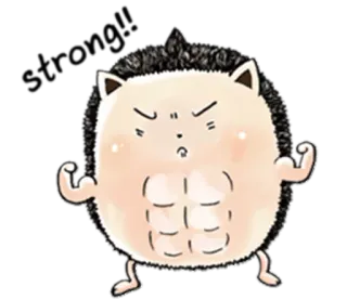💪 STRENGTH! hérisson, muscles, fort, dessin animé, animal, fitness telegram sticker
