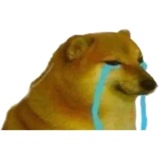 😭 cane, Cheems, meme, pianto, triste telegram sticker