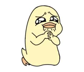 🙁 vịt, dễ thương, van xin, nước mắt, hoạt hình, động vật telegram sticker
