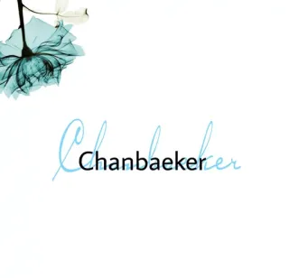 ➿ Chanbaeker telegram sticker
