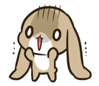 😵 coelho, fofo, desenho, animal, kawaii, adesivo whatsapp sticker