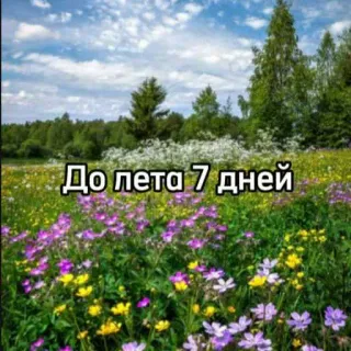 ☀️ До лета 7 дней verano, días, cuenta atrás, naturaleza, flores, campo telegram sticker