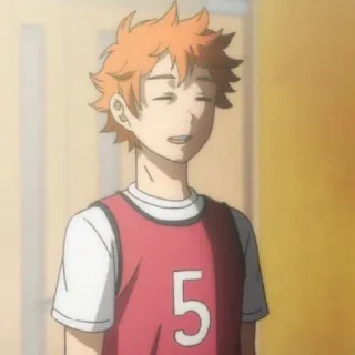 🙏 Hinata Shoyo Haikyuu anime, haikyuu, hinata shoyo, volleyball telegram sticker
