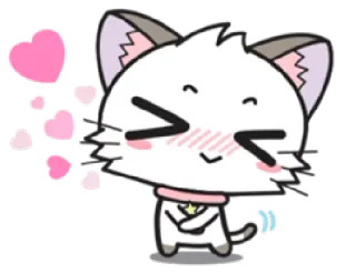 💕 gato, corações, fofo, animal, adesivo, desenho animado, amor whatsapp sticker