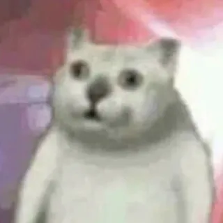 😯 Bär, Tier, Meme, Lustig, Eisbär telegram sticker