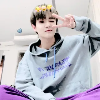 🐼 人, 和平标志, 表情符号, 连帽衫, 青年 telegram sticker