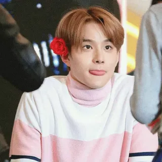 🍧 mann, koreanisch, blume, rosa, pullover, rollkragen whatsapp sticker