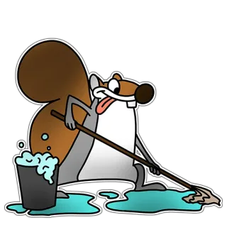 🍳 Eichhörnchen, Cartoon, Reinigung, Wischen, Eimer telegram sticker