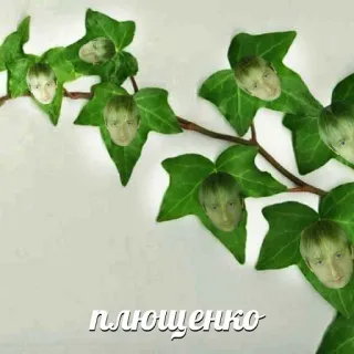 рофлы с фамилиями актеров whatsapp stickers