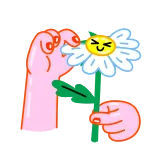 👍 fiore, margherita, carino, mano, regalo, pianta telegram sticker