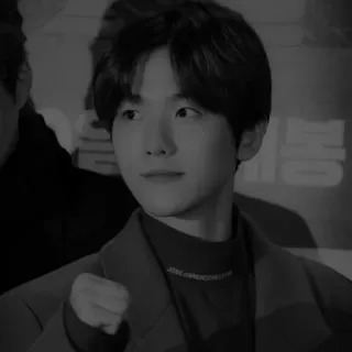 🇦🇹 Baekhyun kpop, baekhyun, singer, celebrity telegram sticker