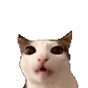 π