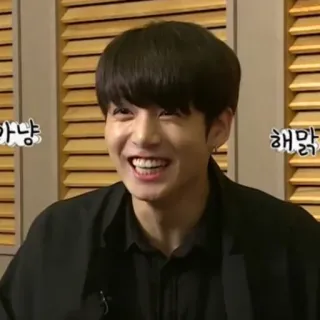 🍁 가냥 해맑 person, man, portrait, smile, korean, joyful telegram sticker