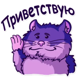 👋 Приветствую 猫, 俄语, 你好, 问候, 可爱, 贴纸 telegram sticker