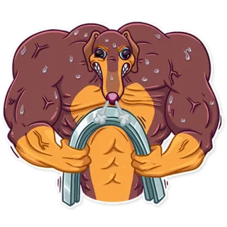 💪 หมา, มีกล้าม, ยกน้ำหนัก, การ์ตูน, ฟิตเนส telegram sticker