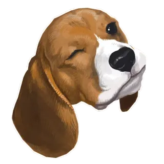 🐶 chó, beagle, động vật, thú cưng, dễ thương, chân dung telegram sticker