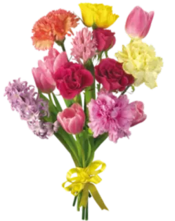 🌺 flowers, bouquet, floral arrangement, tulips, carnations, gift, spring telegram sticker