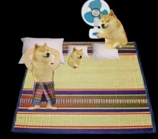 😂 Doge Doge meme telegram sticker