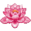 🌸