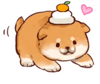 🍊 cane, carino, animale, shiba inu, mochi whatsapp sticker