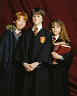 😒 Harry Potter harry potter, ron weasley, hermione granger, hogwarts, magia, livros, filmes telegram sticker