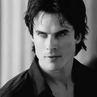 ▪️ Damon Salvatore The Vampire Diaries wampir, serial TV, Ian Somerhalder, portret, czarno-białe, przystojny telegram sticker