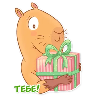 🎁 ТЕБЕ! Kapibara, Hadiah, Kado, Lucu, Binatang, Kartun telegram sticker