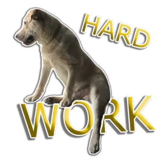🤯 HARD WORK dog, hard work, golden, sticker, animal telegram sticker