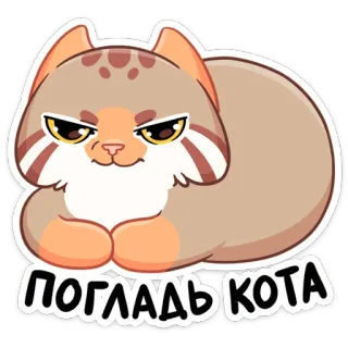 ☺️ ПОГЛАДЬ КОТА gato, lindo, animal, mascota, dibujos animados, ruso telegram sticker