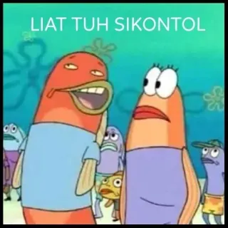 👀 LIAT TUH SIKONTOL 海绵宝宝, 表情包, 鱼, 卡通 whatsapp sticker