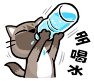 💧 Katze, Wasser, Trinken, durstig, Hydration, Cartoon whatsapp sticker
