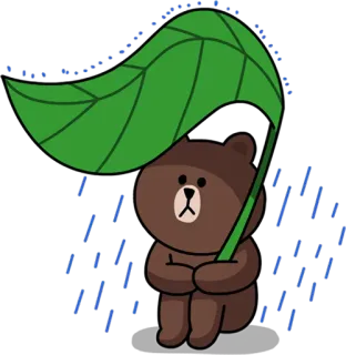 😔 Brown beruang, hujan, sedih, daun, kartun, beruang coklat, LINE FRIENDS telegram sticker