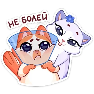 🤧 НЕ БОЛЕЙ kucing, imut, stiker, corong pelindung, hewan, semoga cepat sembuh, dukungan telegram sticker