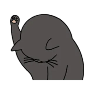 🐈 cat, animal, cute, pet, cartoon, domestic animal telegram sticker