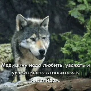 Нейроволк telegram stickers