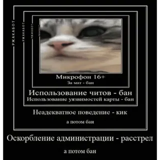 🤿 Микрофон 16+
За мат - бан
Использование читов - бан
Использование уязвимостей карты - бан
Неадекватное поведение - кик
а потом бан
Оскорбление администрации - расстрел
а потом бан chat, mème, texte, humour, ban, jeu en ligne telegram sticker