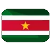 🇸🇷
