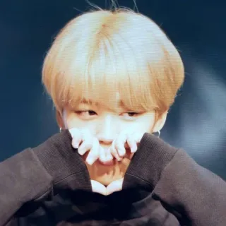🌷 corazón, manos, amor, kpop, ídolo, fan whatsapp sticker