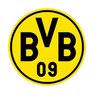 🇩🇪 BVB 09 soccer, football, BVB, team, sport whatsapp sticker